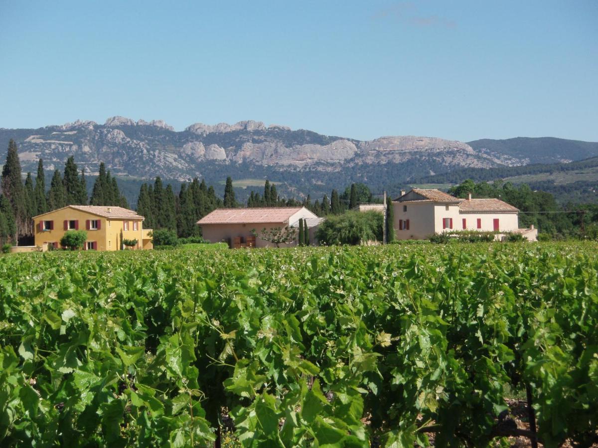 Gite Les Vignes Carpentras Zewnętrze zdjęcie