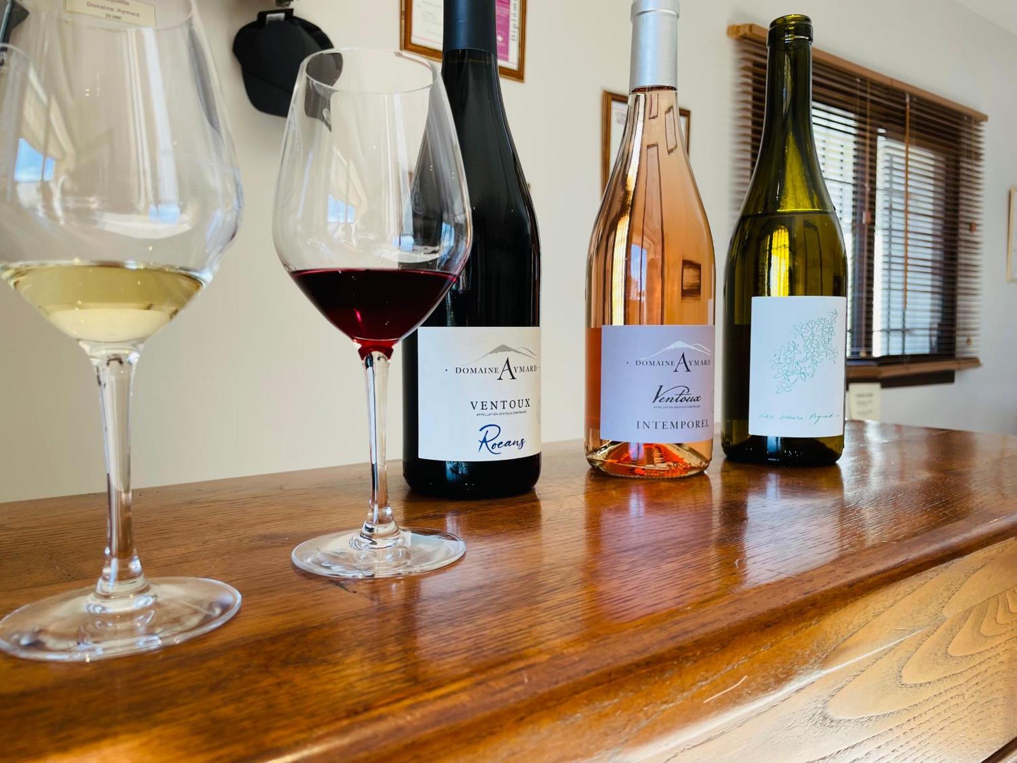 Gite Les Vignes Carpentras Zewnętrze zdjęcie